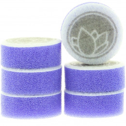Nanolex Polishing Pad...